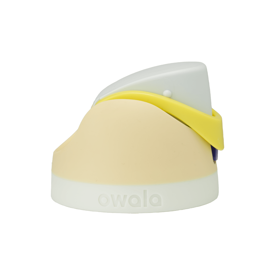 Replacement Lids D0