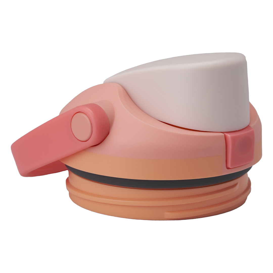 Replacement Lids D0