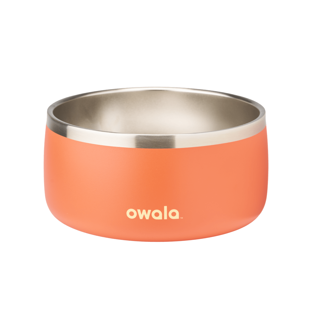 Pet Bowl K8