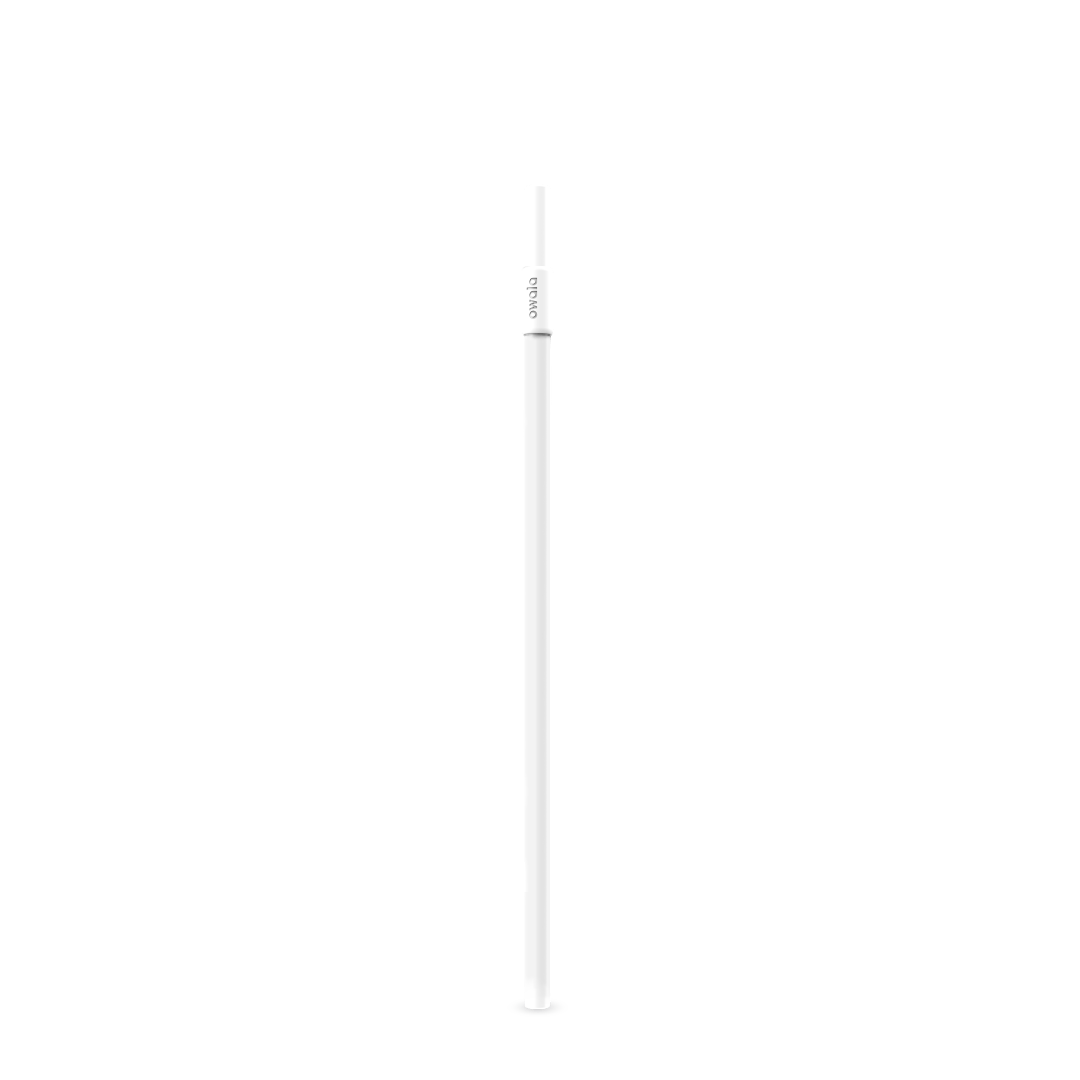 Replacement Straws P1