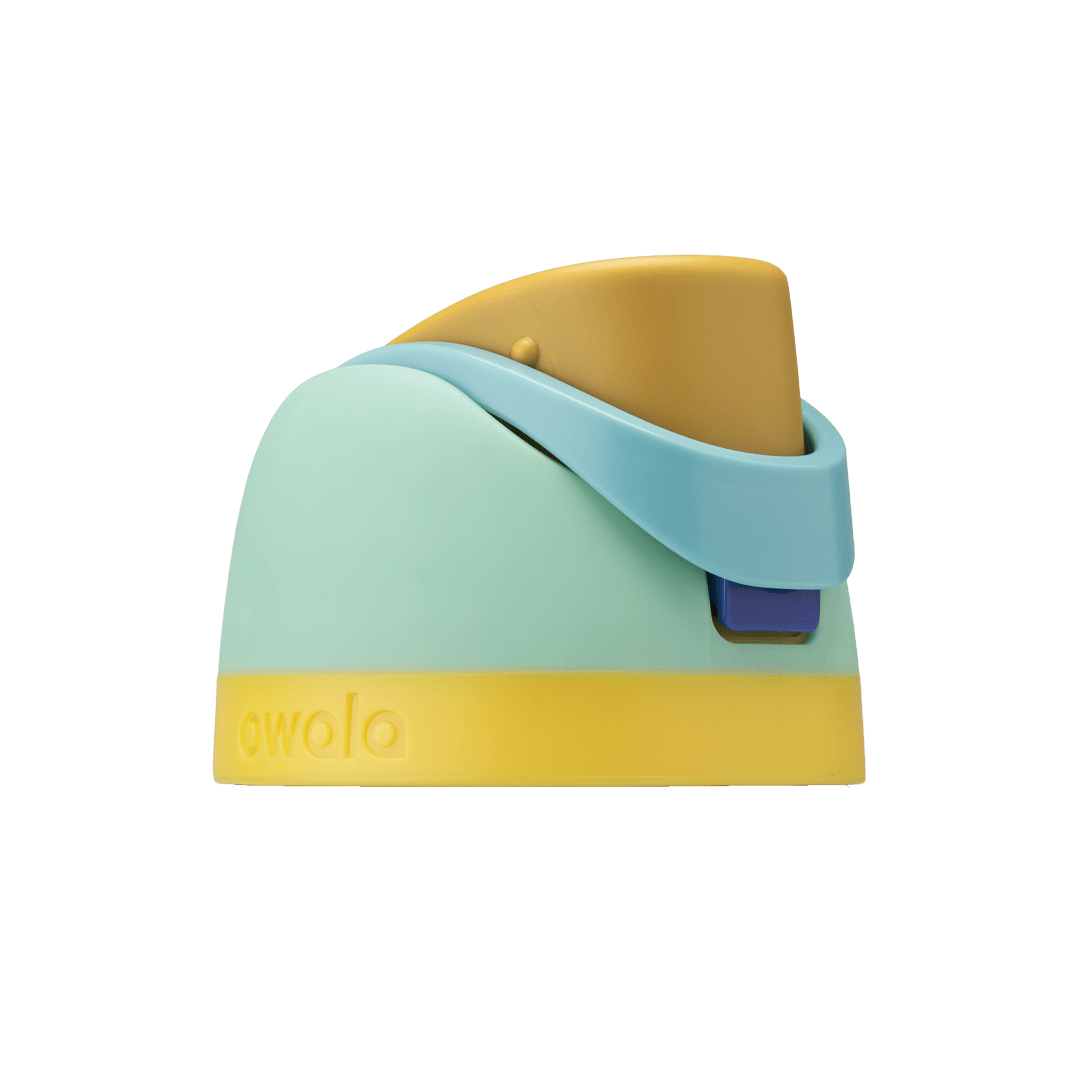 Replacement Lids D0