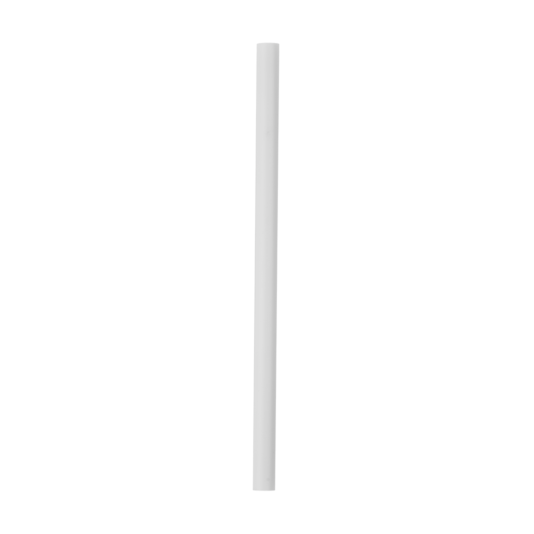 Replacement Straws P1